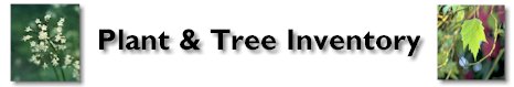 Plant & Tree Inventory Logo