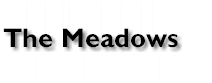 Meadow Logo Text