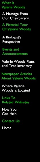 Valerie Woods Links