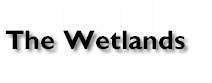 Wetlands Logo Text